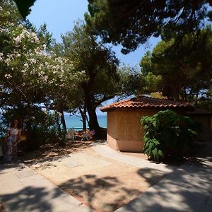 Bungalow familiare economy con 1 camera da letto